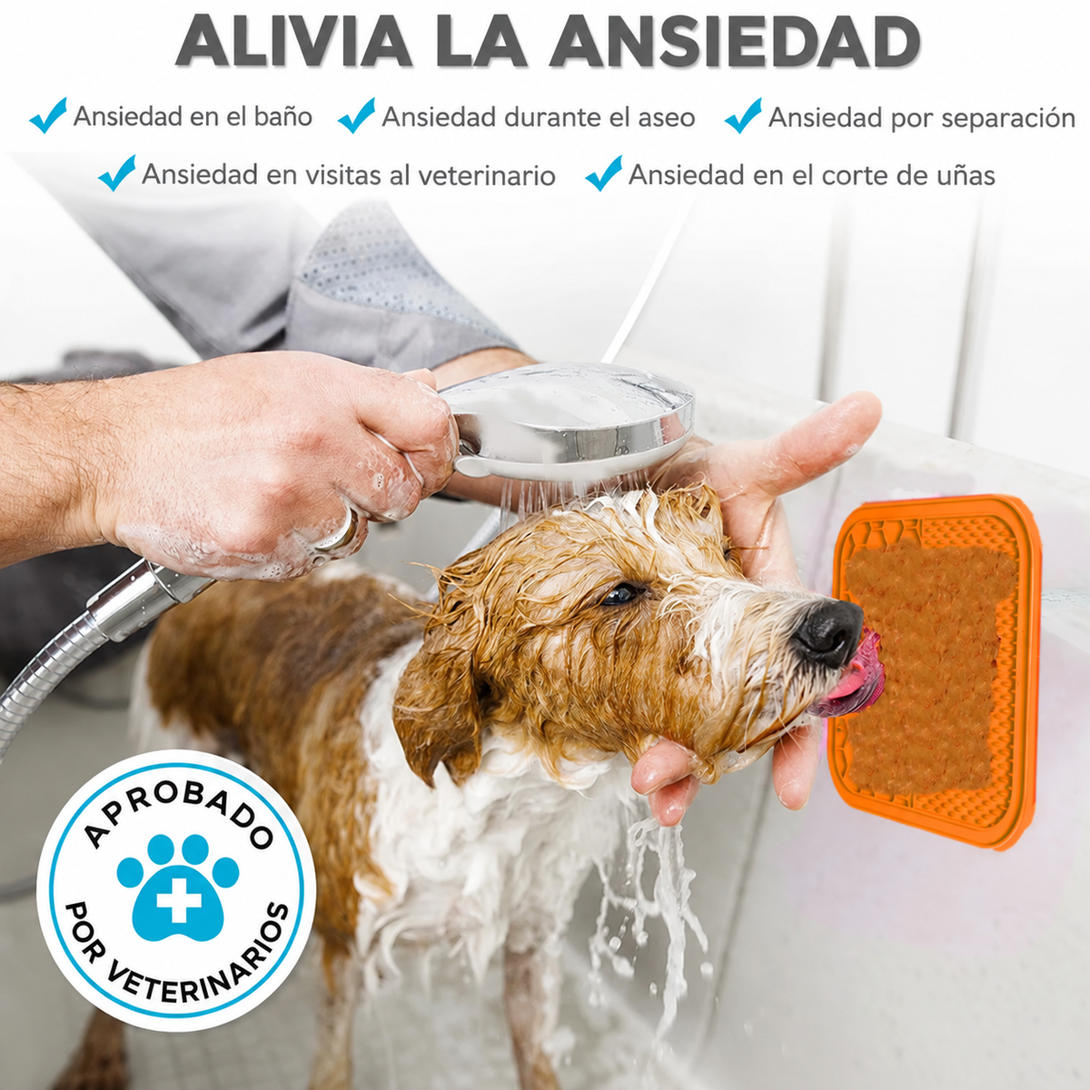 Comedero antiestres -Pethealth