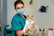 Equipo de veterinarios